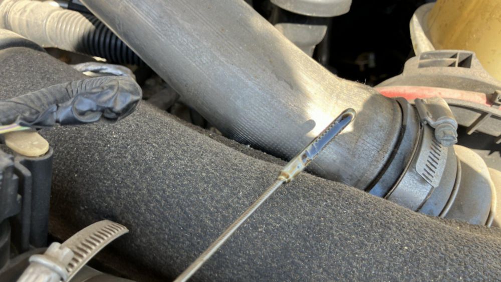 2019 Cable Placer