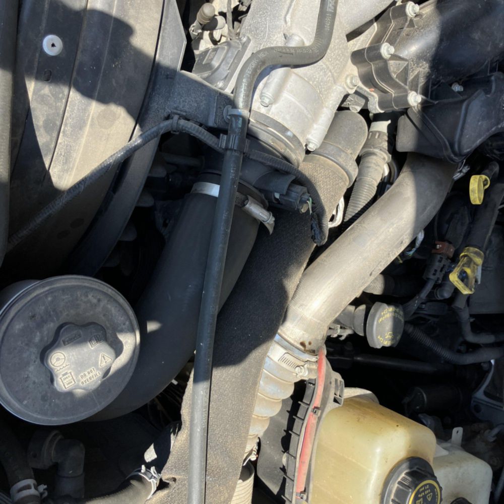 2019 Cable Placer