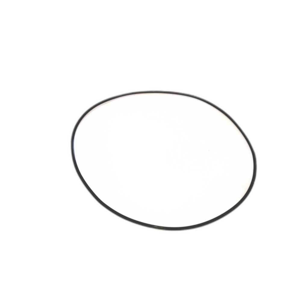 O-RING (164.8 X 2.6)
