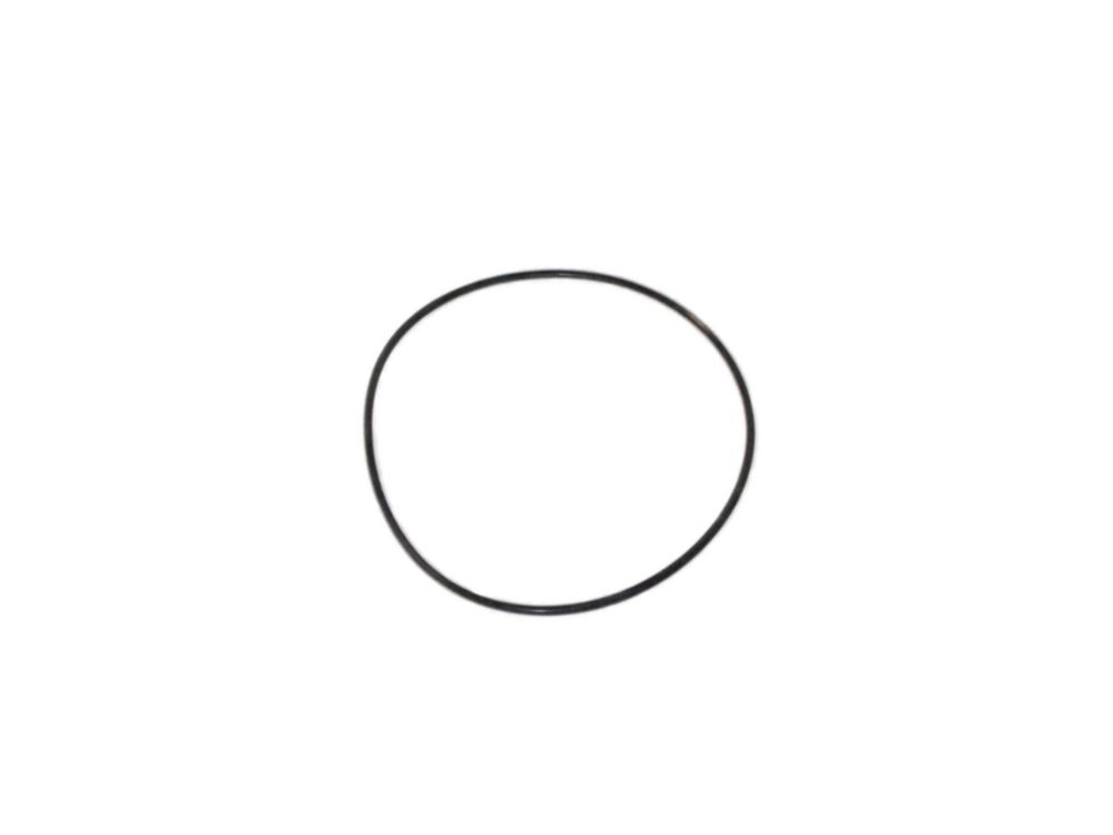 BACKUP ORING