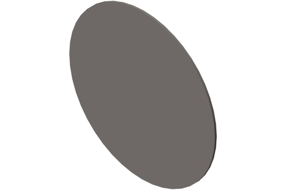 DIAPHRAGM