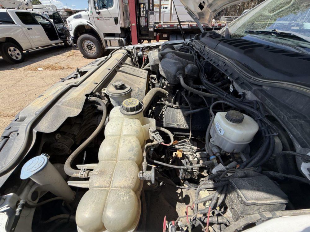 2019 Ford F-250 Crew Cab 4x4 Pickup Truck