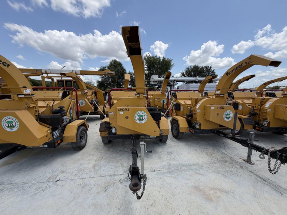 2019 Chipper