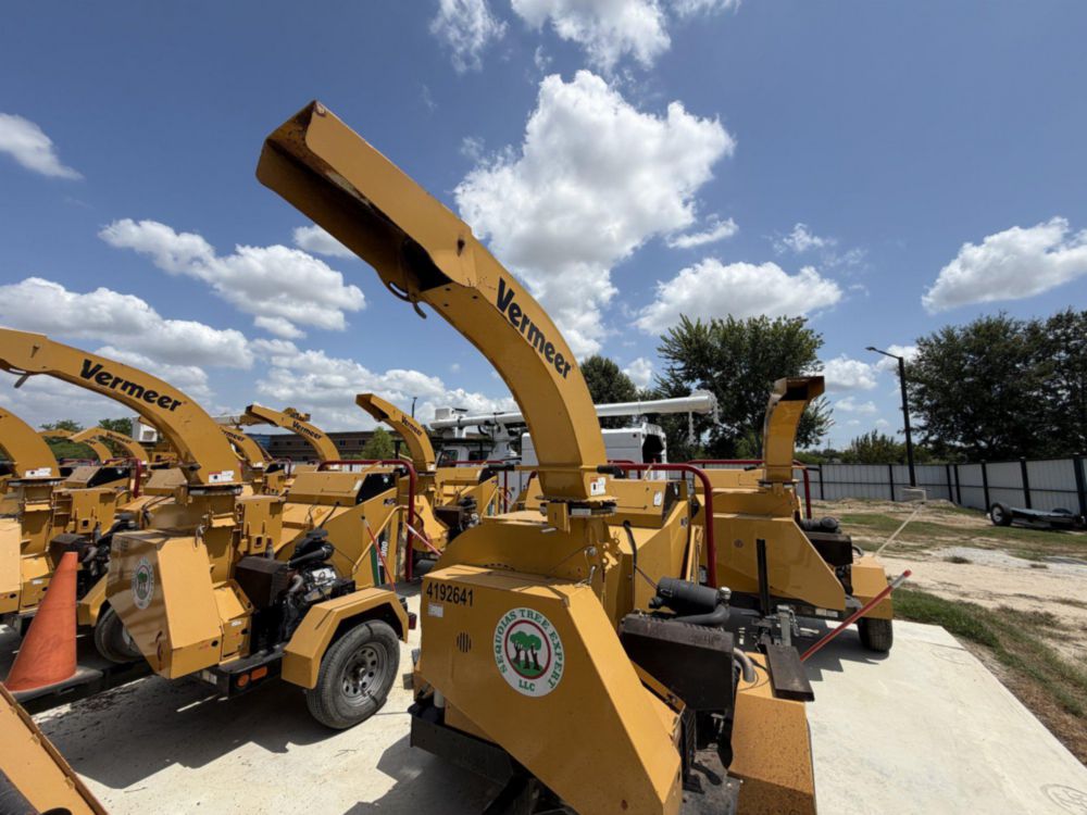 2019 Chipper