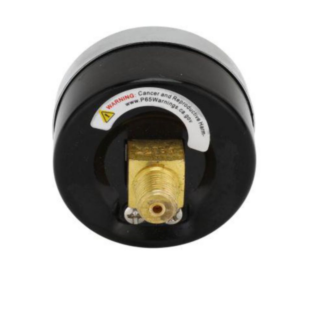 FILTER GAUGE 60PSI 02MP