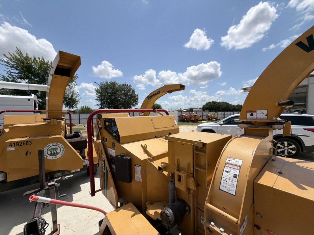 2019 Chipper