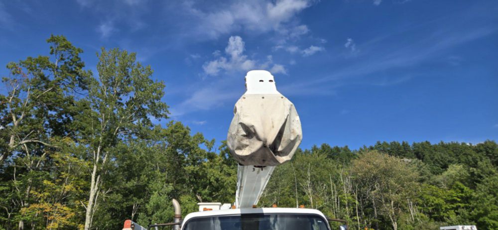 2017 Freightliner M2 4x2 Terex HRX-55 Material Handler Bucket Truck