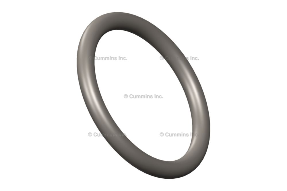 O RING