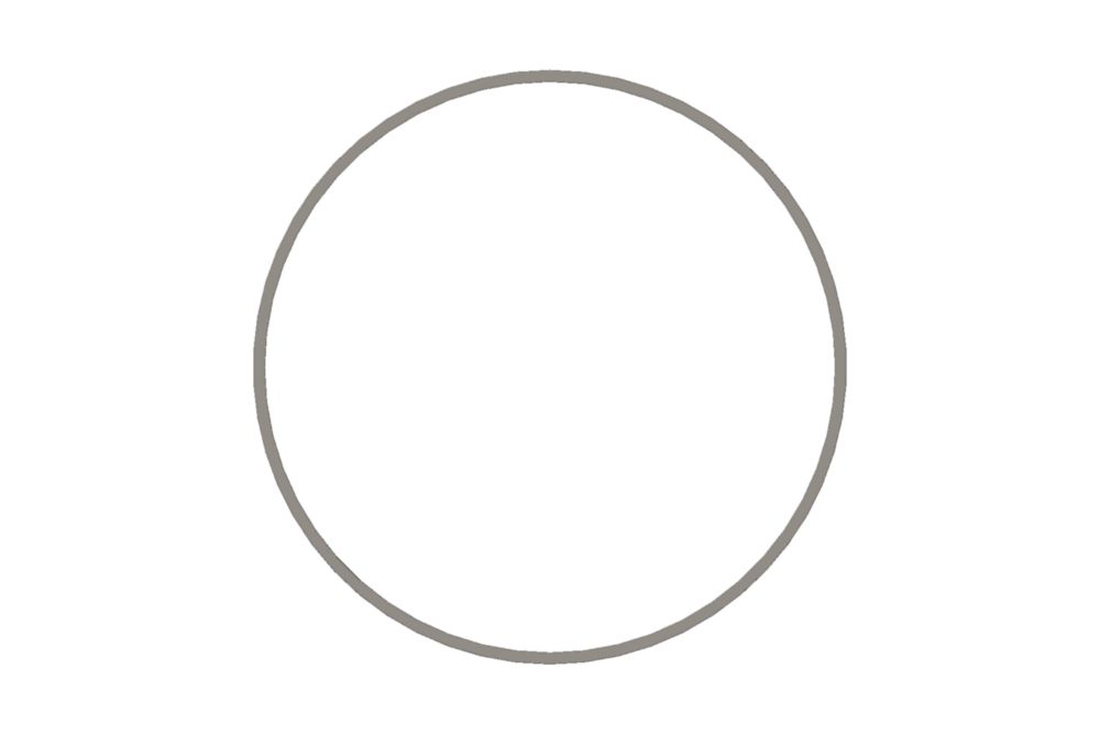 SEAL, DIAMOND RING