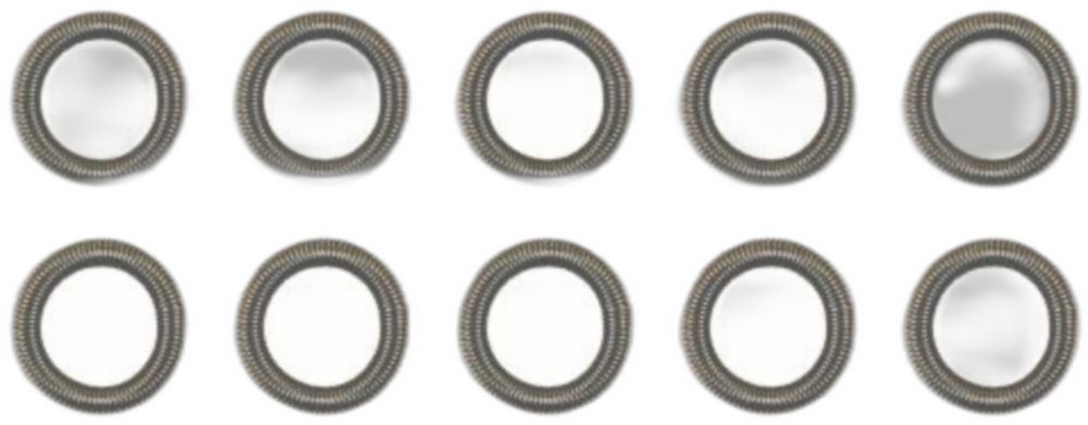 GARTER SPRING