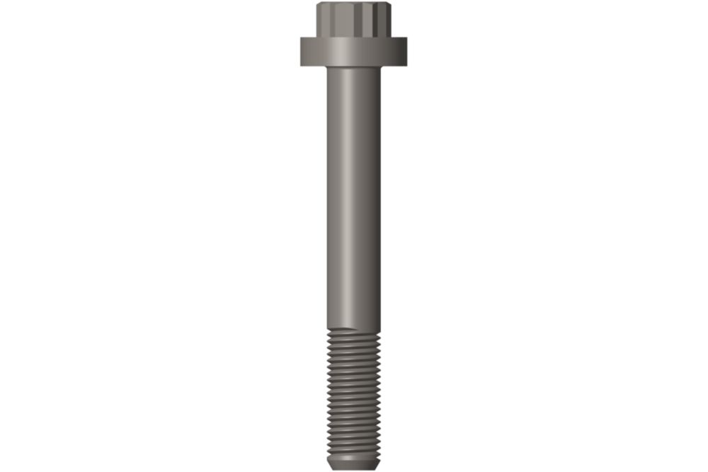 SCREW,TWELVE POINT CAP