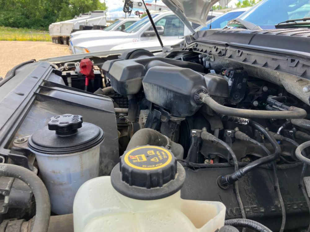 2019 Ford F-250 Crew Cab 4x4 Pickup Truck