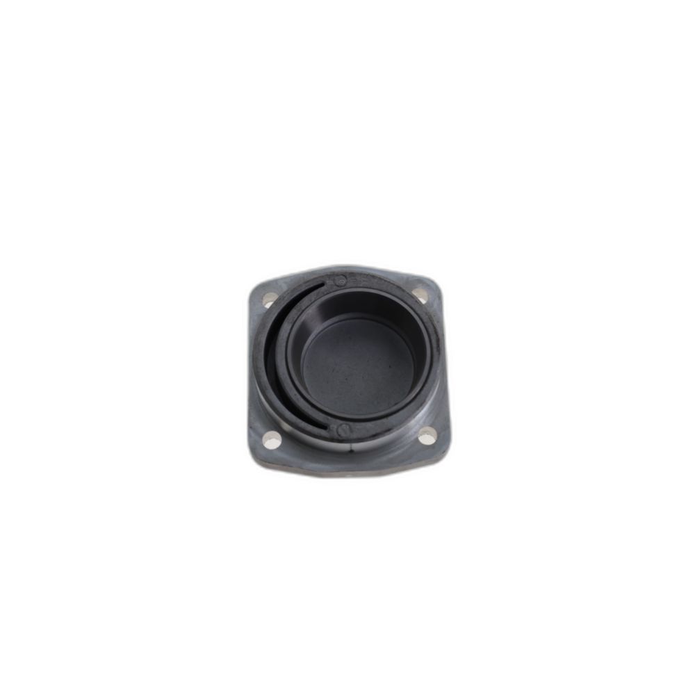 BEARING CAP ASSEMBLY