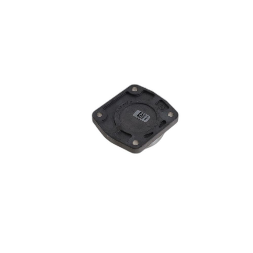 BEARING CAP ASSEMBLY