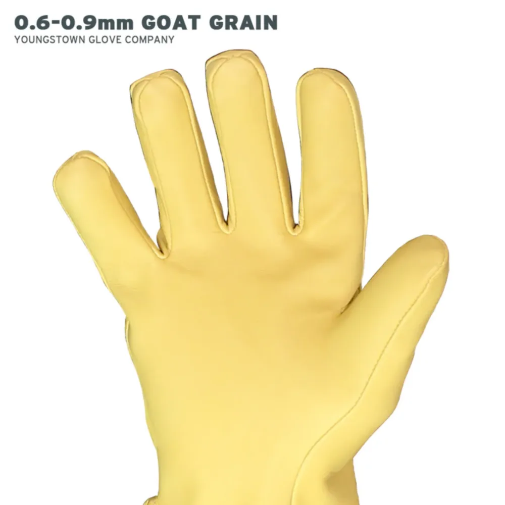 Youngstown Secondary Protector Gloves, 10"