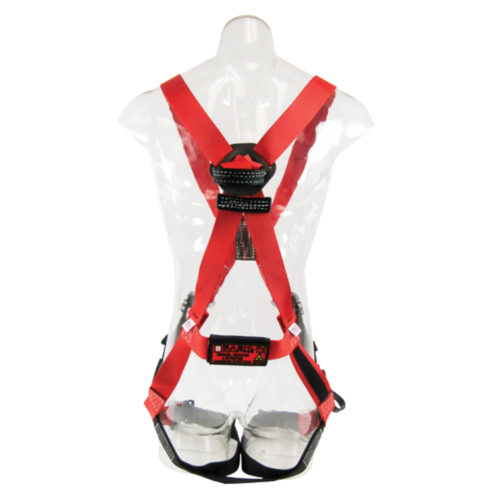 Bashlin X-Style Harness w/ Nylon Loop Back Attachment,