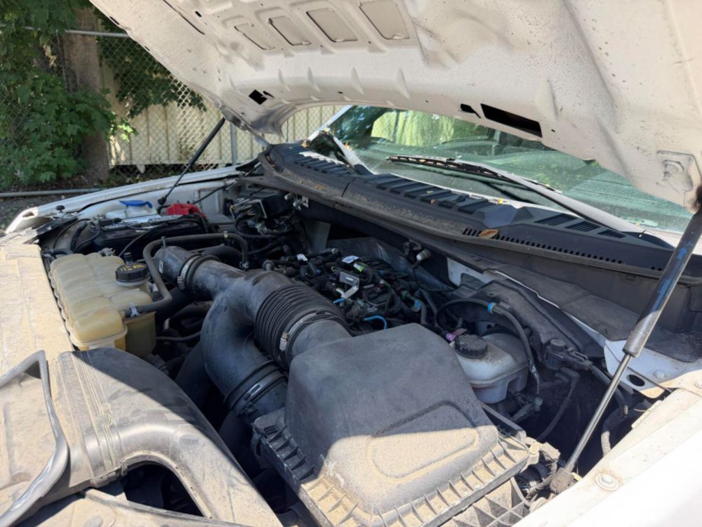 2019 Ford F-150 Crew Cab 4x4 Pickup Truck