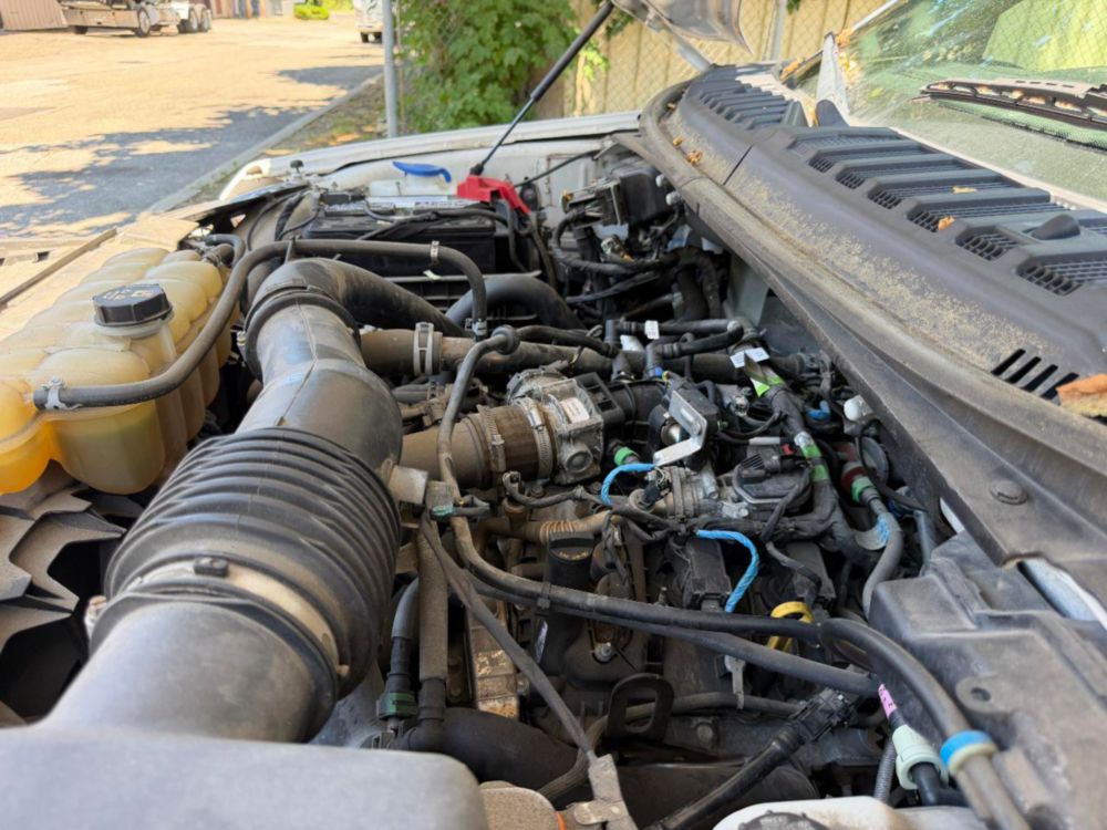 2019 Ford F-150 Crew Cab 4x4 Pickup Truck