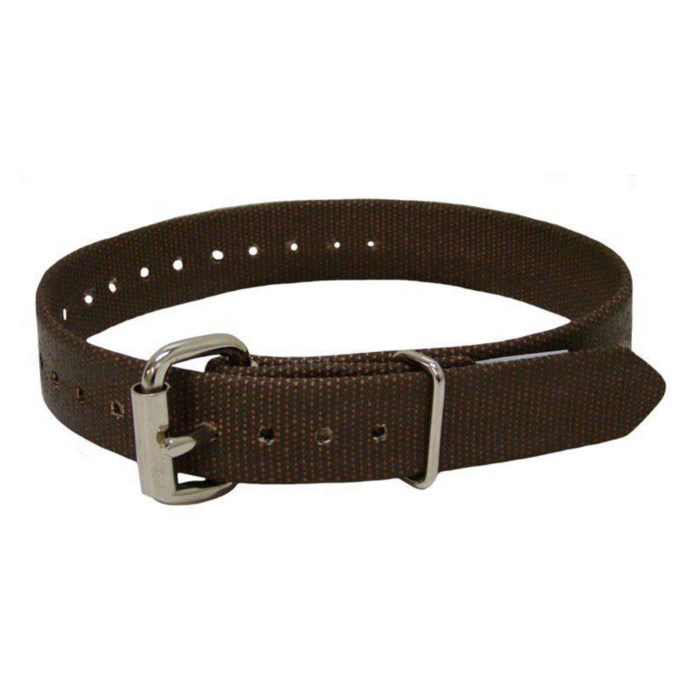 Buckingham Single Piece Nylon Climber Strap