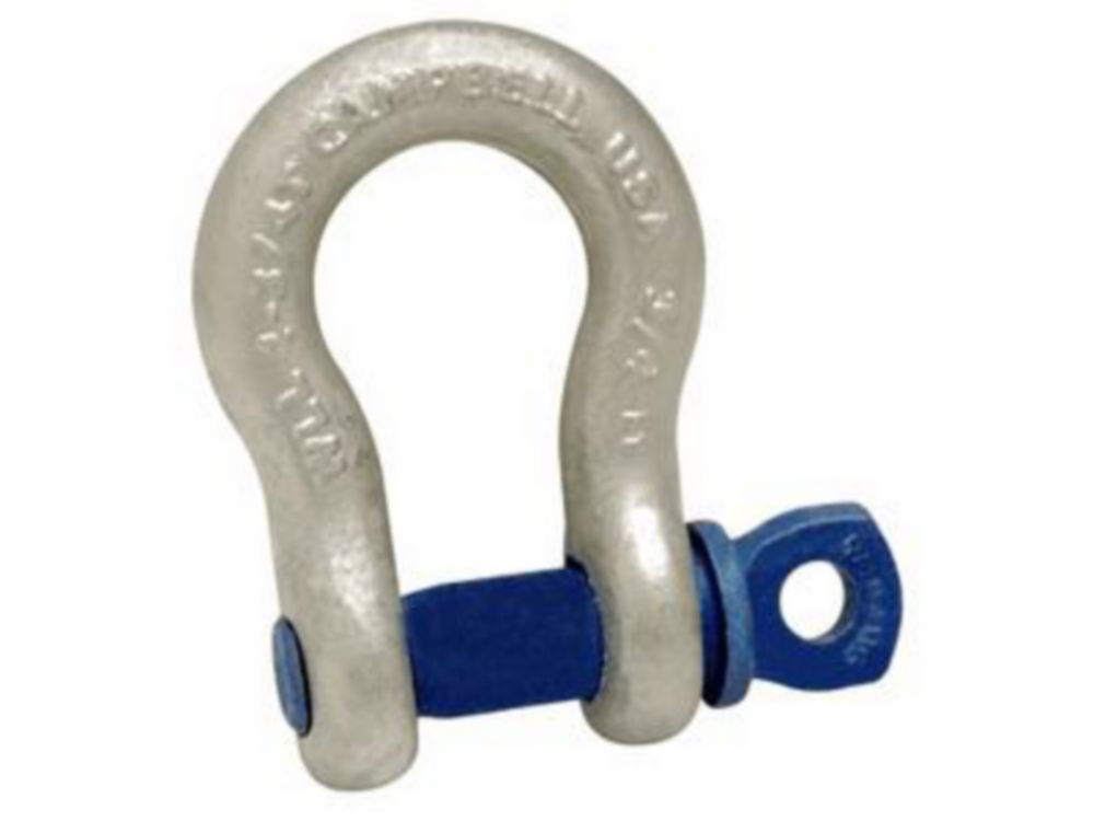 Campbell 3/4" Anchor Shackle