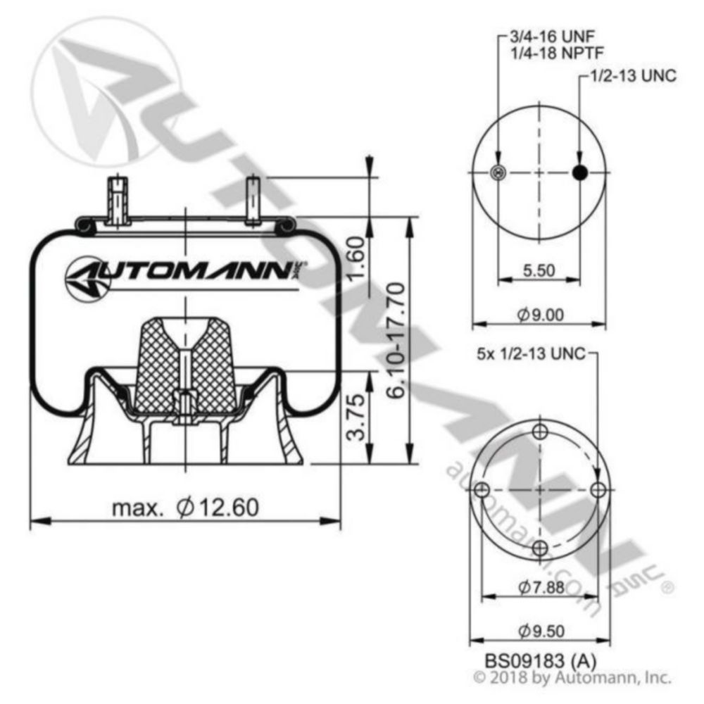 Phoenix Air Spring Rolling Lobe