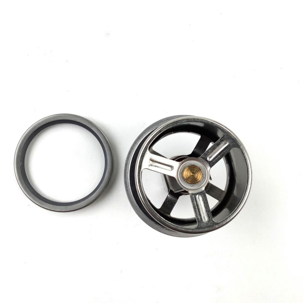 Heavy Duty Thermostat 2.87