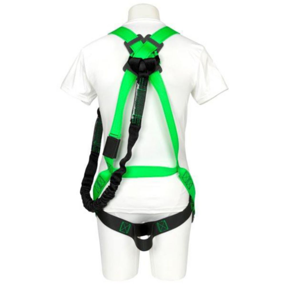 Buckingham Harness-Lanyard Combo