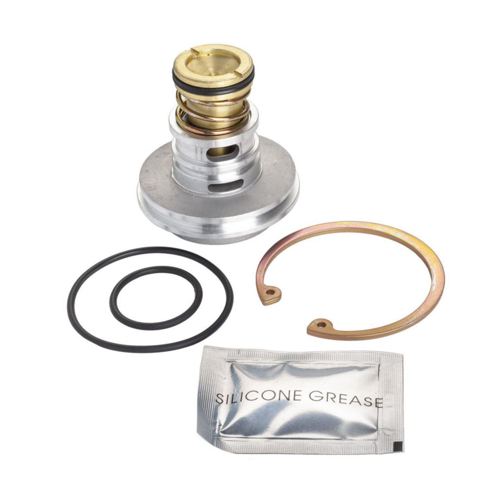 PURGE VALVE ASSY