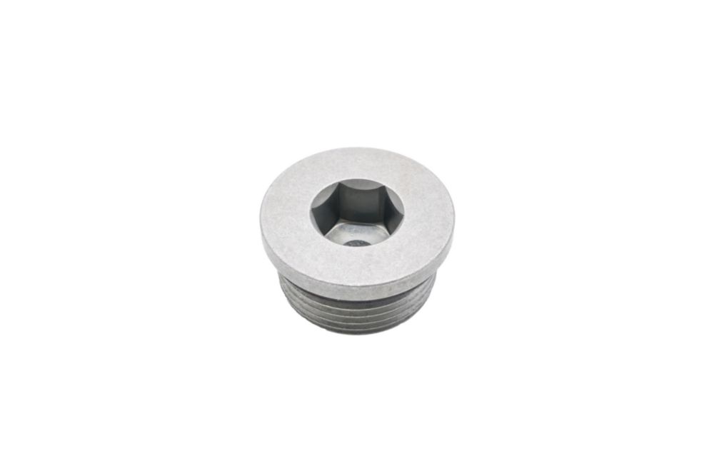 O-RING FLUSH PLUG