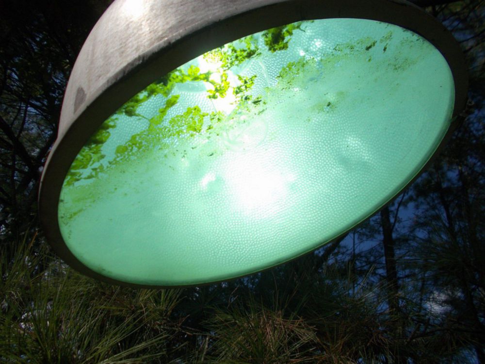 2004 Other Product