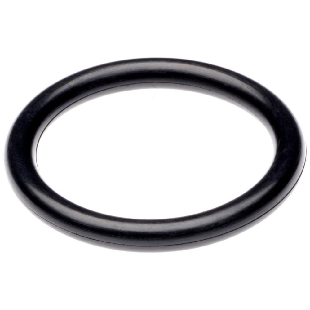 O-Ring Neoprene