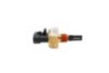 DETECTOR, COOLANT