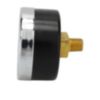 FILTER GAUGE 60PSI 02MP