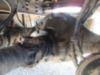 2013 Freightliner M2 4x2 Brandon Dump Truck