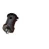 REPLACEMENT LATCH PIN KIT – EA