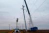 130 tons 155 ft Telescopic Non Insulated Crawler Crane