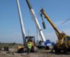 50 tons 111 ft Telescopic Non Insulated Crawler Crane
