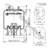Automann Air Spring Rolling Lobe