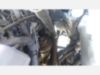 2022 Dodge Ram 5500 4x4 Posi Plus Cable Placer Truck