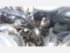 2022 Dodge Ram 5500 4x4 Posi Plus Cable Placer Truck