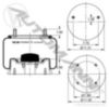 Automann Air Spring Rolling Lobe