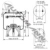 Phoenix Air Spring Rolling Lobe