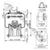 Automann Air Spring Rolling Lobe