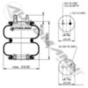 Phoenix Lift Air Spring Watson & Chalin