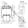 Phoenix Air Spring Rolling Lobe