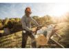 Stihl MS 170 Chainsaw, 16"