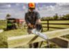 Stihl MS 250 Chainsaw, 18"
