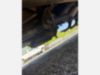 2019 Chevrolet 5500 Crew Cab 4x4 Crane Equipped Service Truck