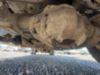 2017 Dodge Ram 5500 4x4 "2008" Terex LT-40 Bucket Truck