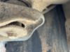 2017 Dodge Ram 5500 4x4 "2008" Terex LT-40 Bucket Truck